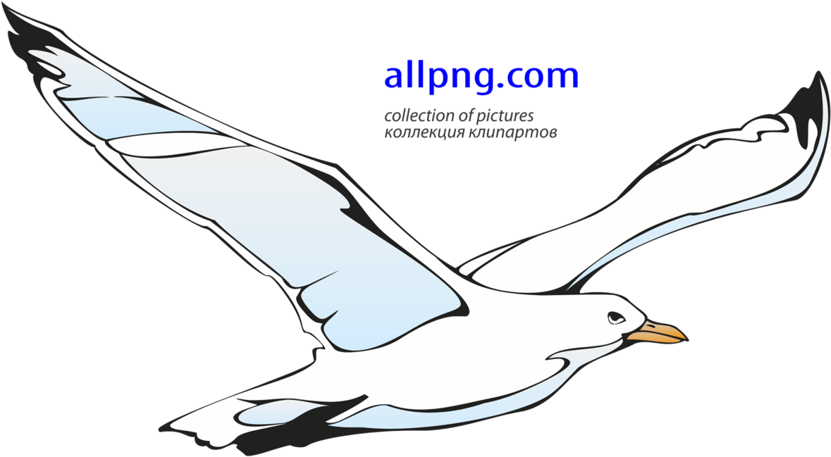 Flying Seagull Clipart - Png Download (1200x651), Png Download