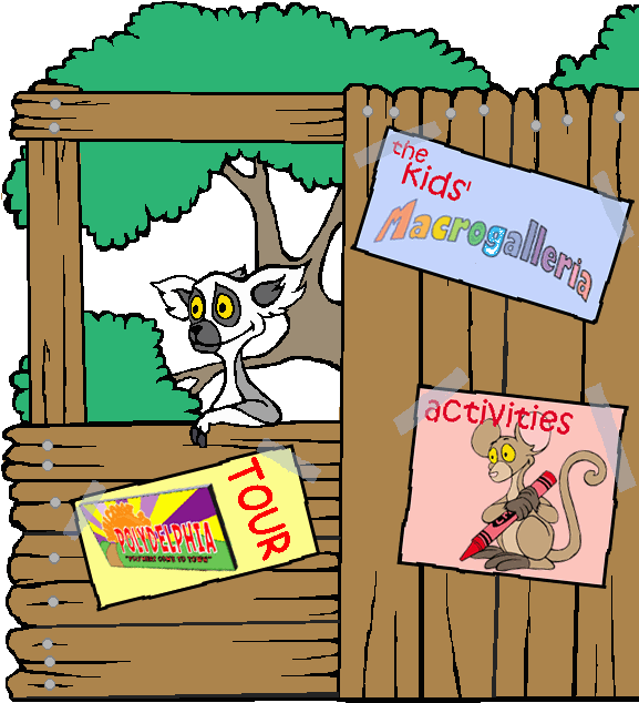 Now, To Learn Even More About Polymers And Where You Clipart (576x648), Png Download