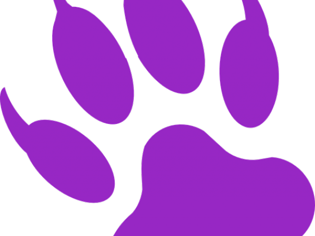 Tiger Print Clipart Panther - Png Download (640x480), Png Download