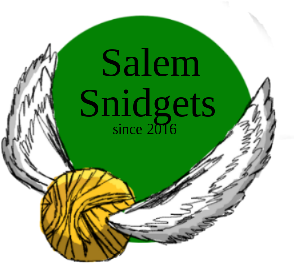 Mugglarportalen - Forum - Quidditchplanen - Gryffindor/slytherin Clipart (585x588), Png Download