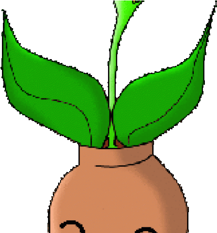 Flowers Color Clipart Animated - Png Download (640x480), Png Download