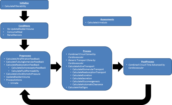Urinary System Renal Flow Chart Diagram Wiring Diagram Clipart (728x444), Png Download
