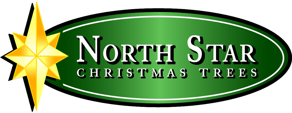 North Star Christmas Trees Clipart (1000x1000), Png Download