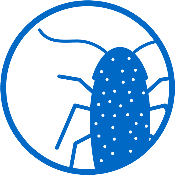 Concentrated Essential Oils Penetrate Bug's Shells Clipart (720x720), Png Download