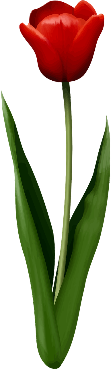 Floral Flower Leaf Leafy Leaves Png Image Clipart (640x1280), Png Download