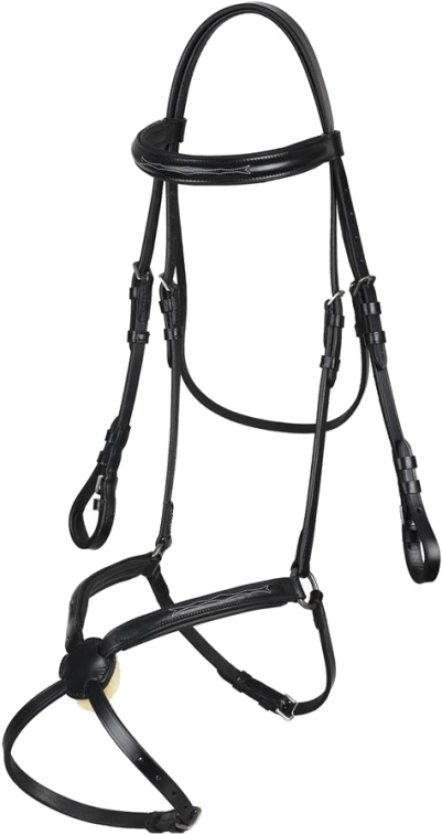 Ogłowie Start Mexico Clipart (760x1040), Png Download