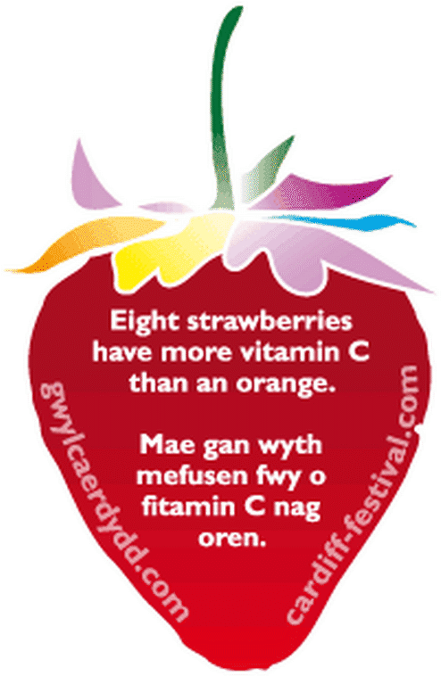 Swansea City Skipper Garry Monk Predicts New Boss Paulo Clipart (615x861), Png Download