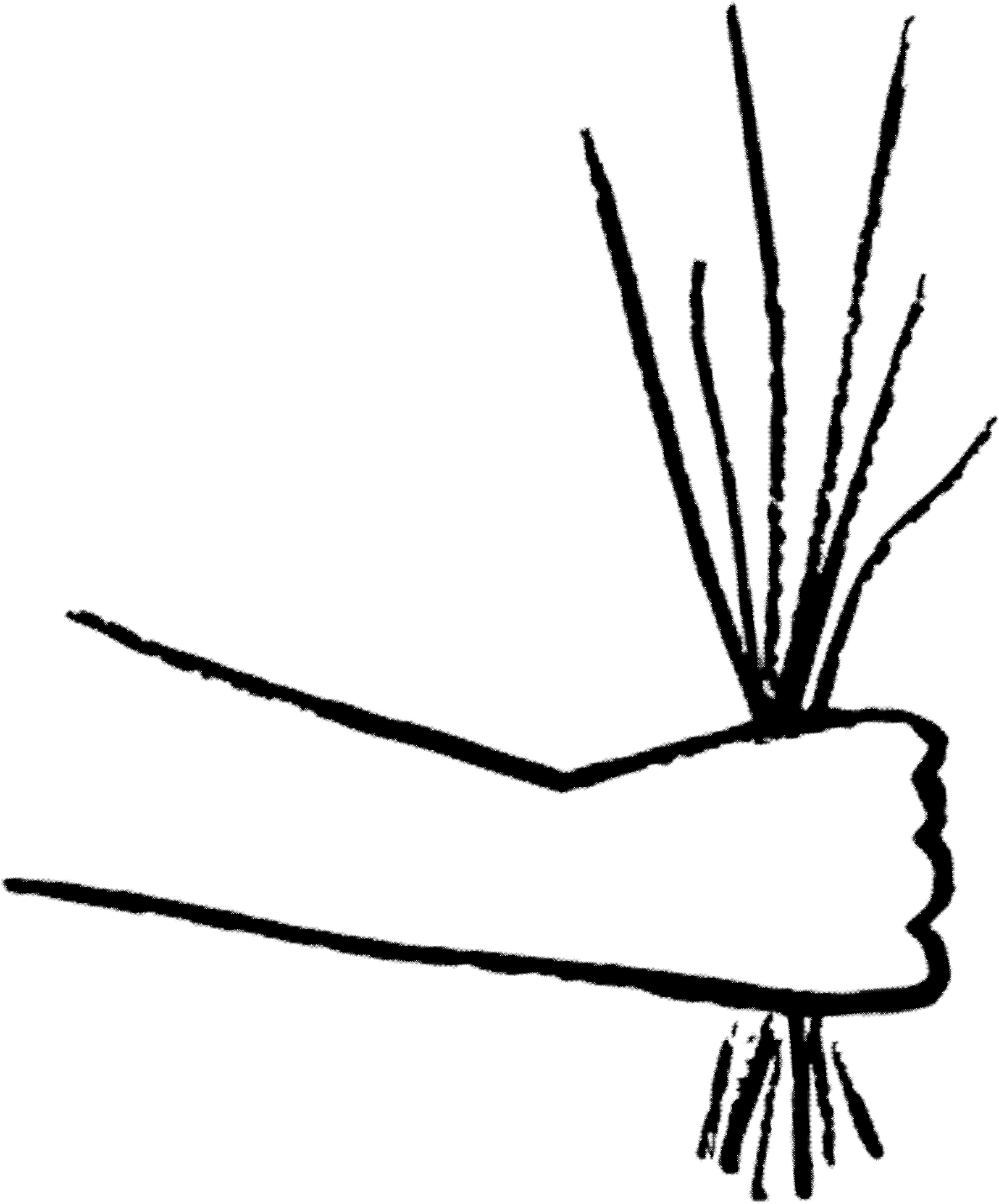 Flowers By Colore G Clipart (3543x3543), Png Download