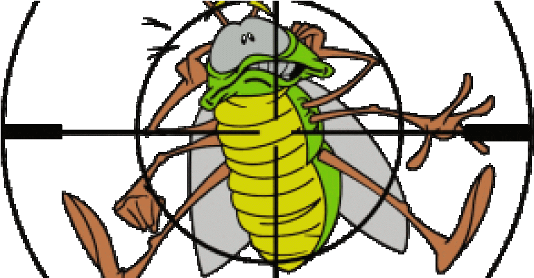 Are You Having Pest Control Problems Are You Trying Clipart (800x400), Png Download