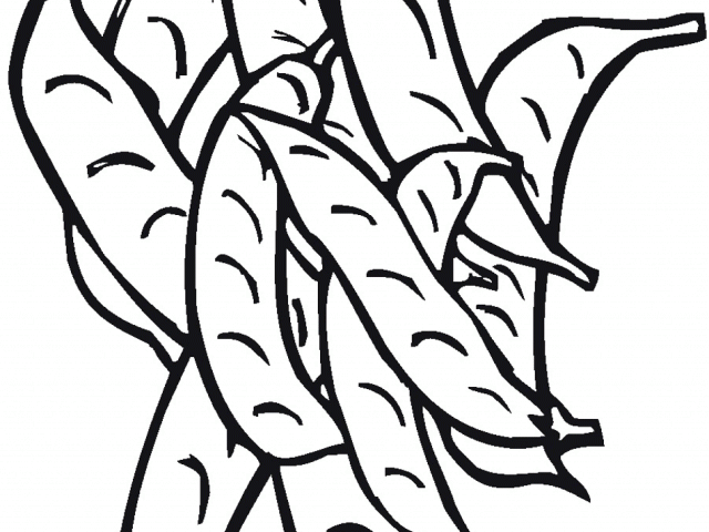 Bean Clipart Green Leafy Vegetable - Png Download (640x480), Png Download