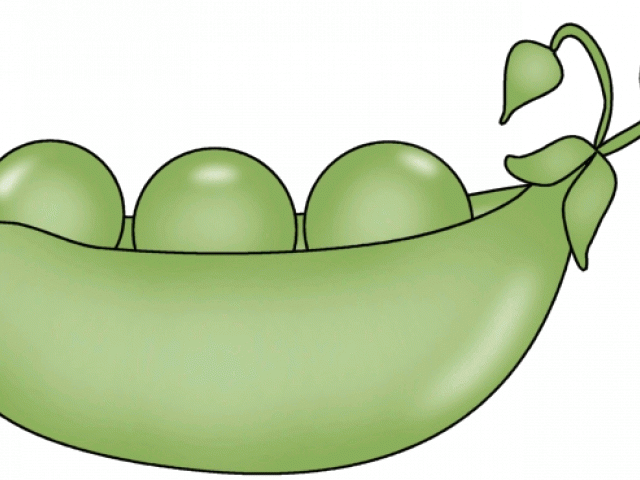 Lima Beans Clipart Bowl Pea - Png Download (640x480), Png Download