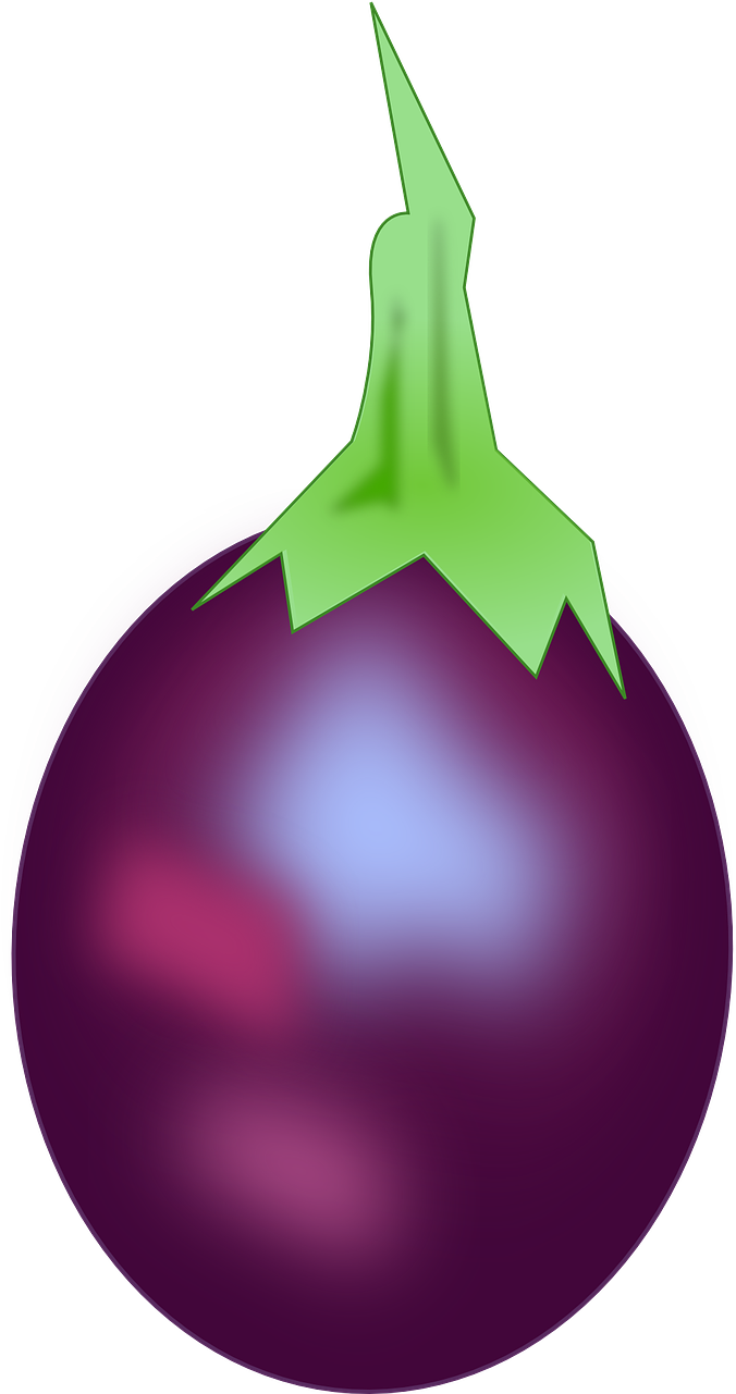 Aubergine Eggplant Agriculture Png Image Clipart (710x1280), Png Download