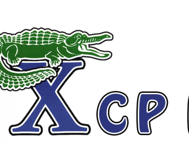 Volleyball Clipart Gator - Png Download (640x480), Png Download