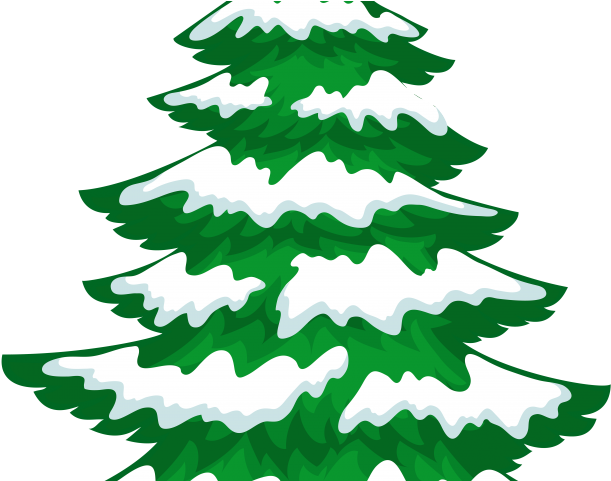 Pine Tree Clipart 4 Tree - Png Download (640x480), Png Download