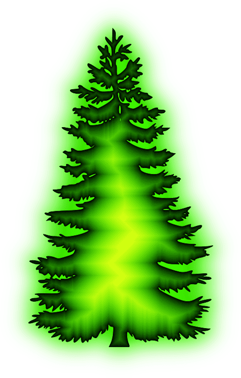 Photo Christmas Tree Hd Png Clipart (1024x768), Png Download