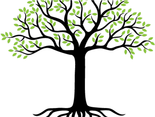 Roots Clipart Landscaping - Png Download (640x480), Png Download