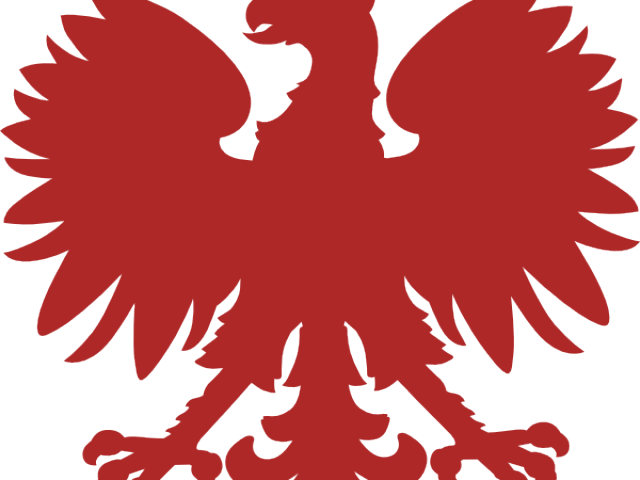Black Eagle Clipart Polish - Png Download (640x480), Png Download