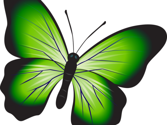 Rainbow Butterfly Clipart Buttrfly - Png Download (640x480), Png Download