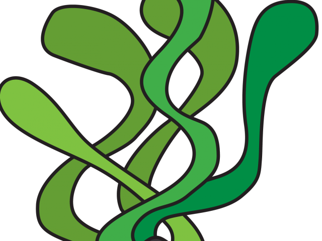 Sea Grass Clipart Sea Background - Png Download (640x480), Png Download