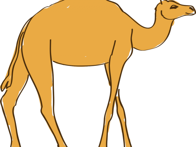 Camels Clipart Egyptian Camel - Png Download (640x480), Png Download