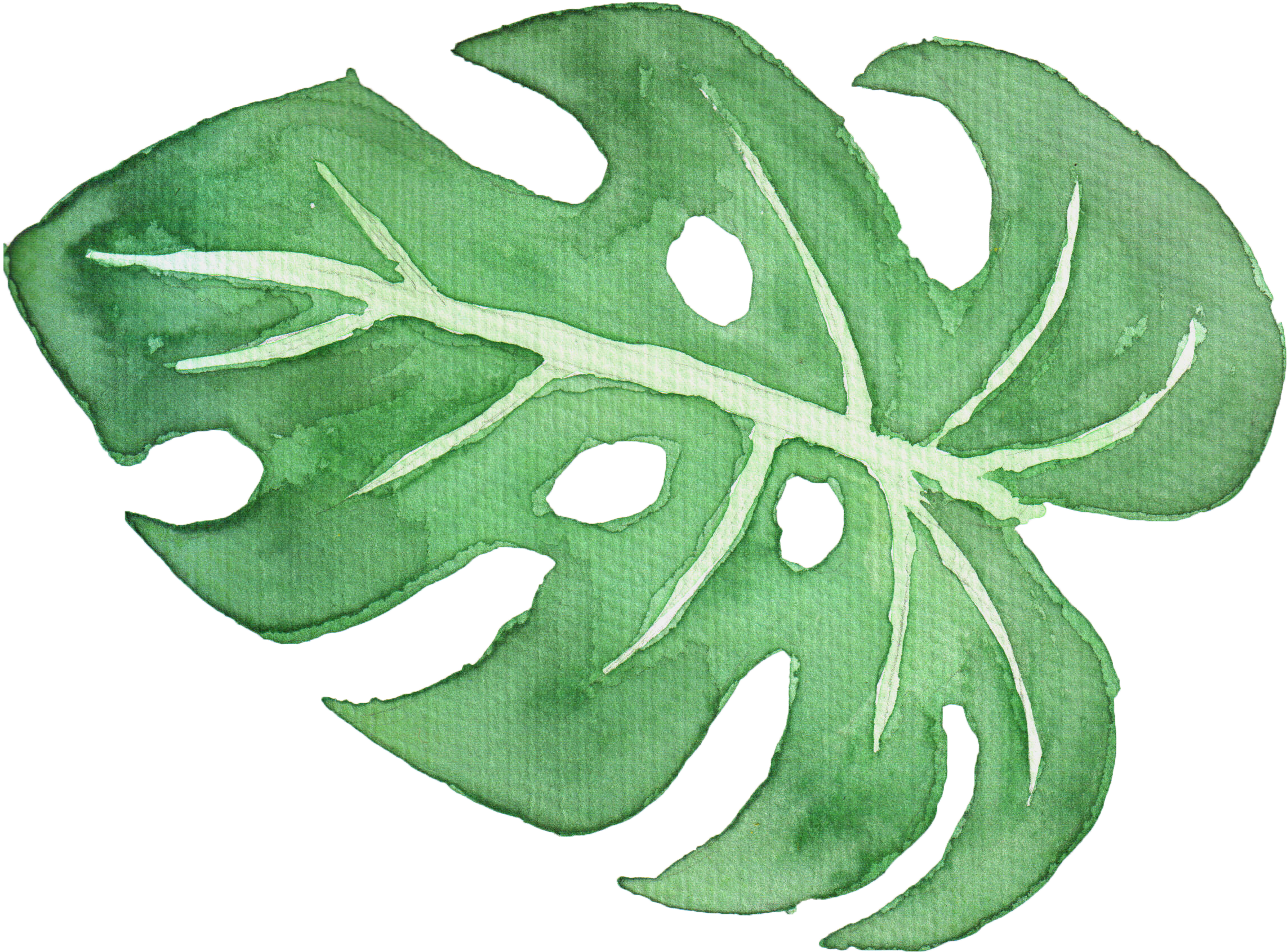 Tropical Leaves Watercolor Png Clipart (3000x3000), Png Download