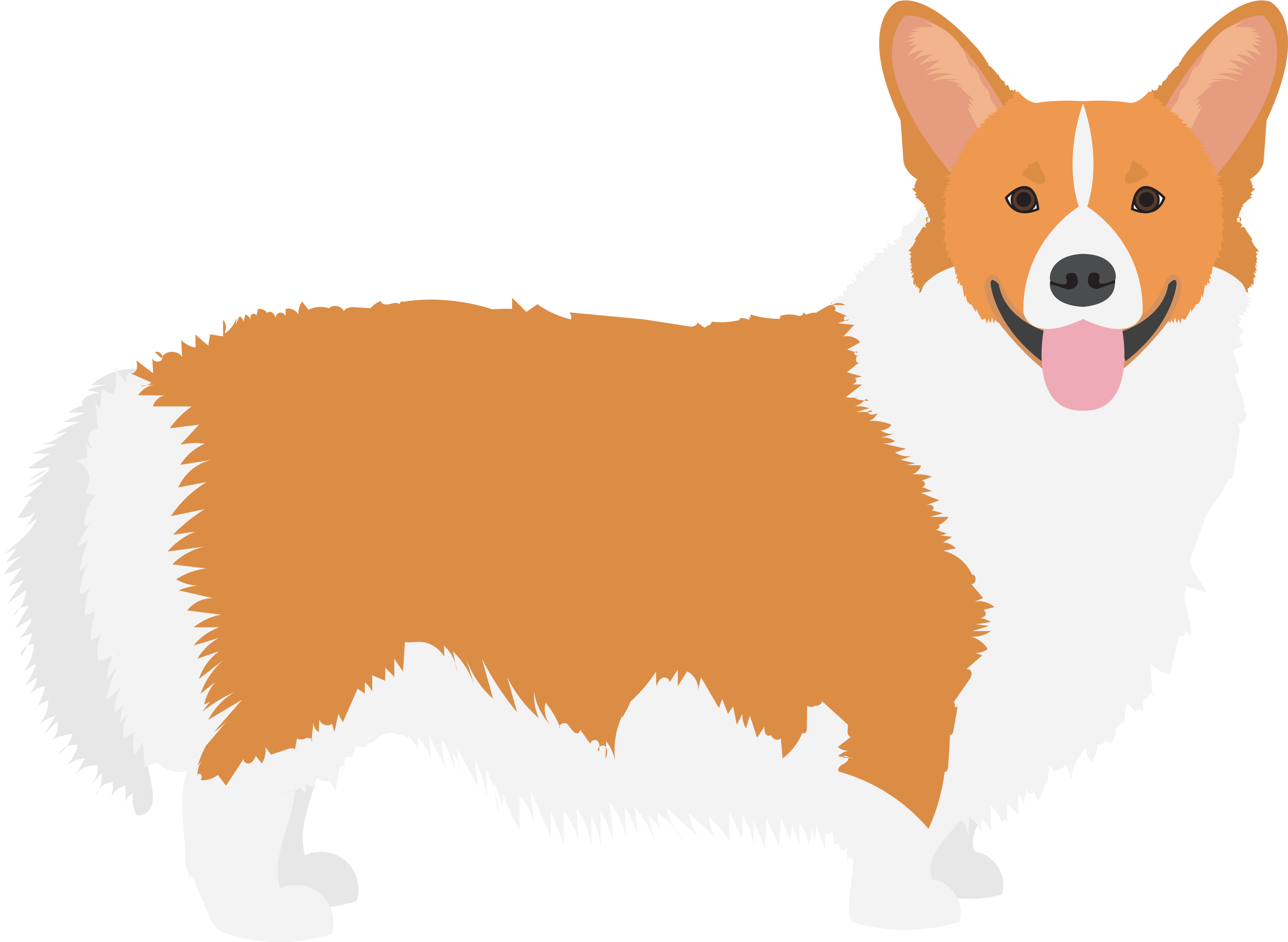 Pembroke Welsh Cardigan Icelandic Clipart (3150x2550), Png Download