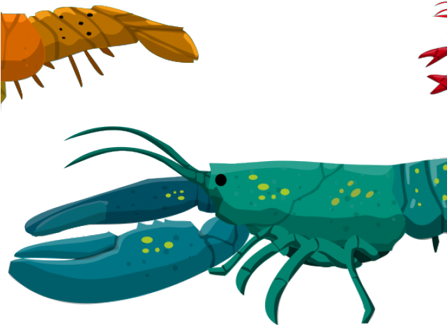 Barracuda Clipart Spiny Lobster Png Download Full Size Clipart Pinclipart Barracuda Clipart Spiny Lobster Png Download Full Size Clipart Pinclipart
