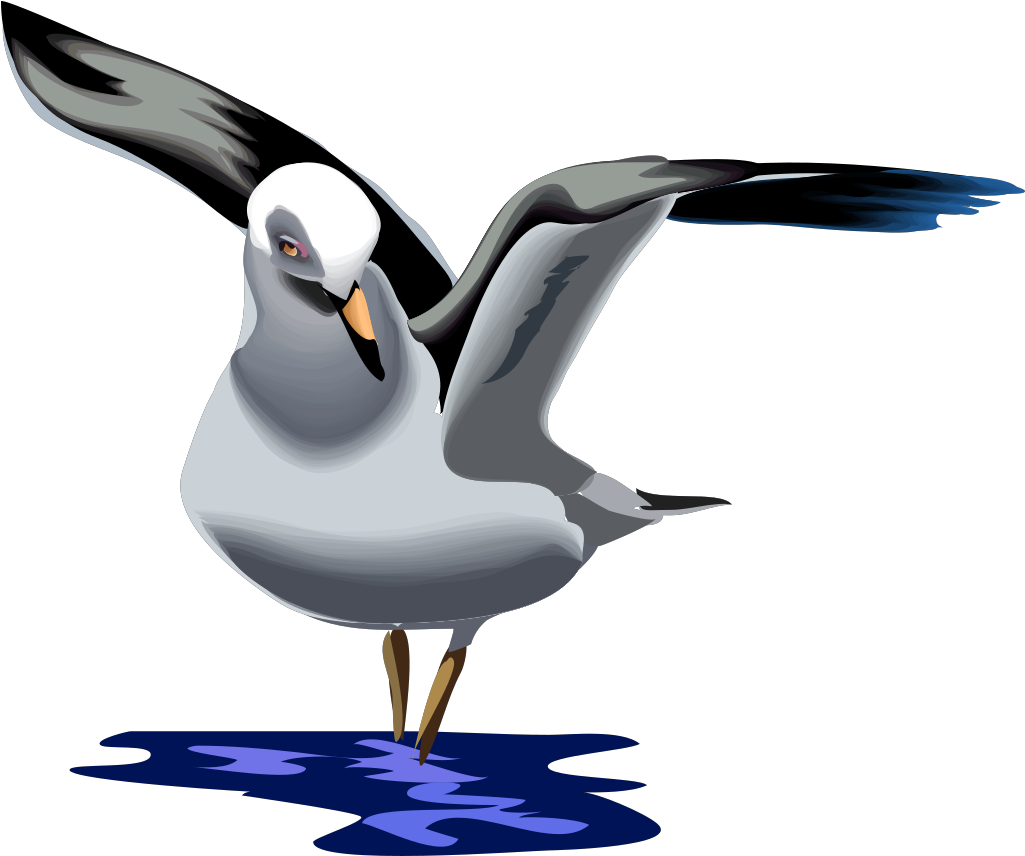 Seagull Clip Art Download - Png Animation Cartoon Pigeon Transparent Png (800x669), Png Download