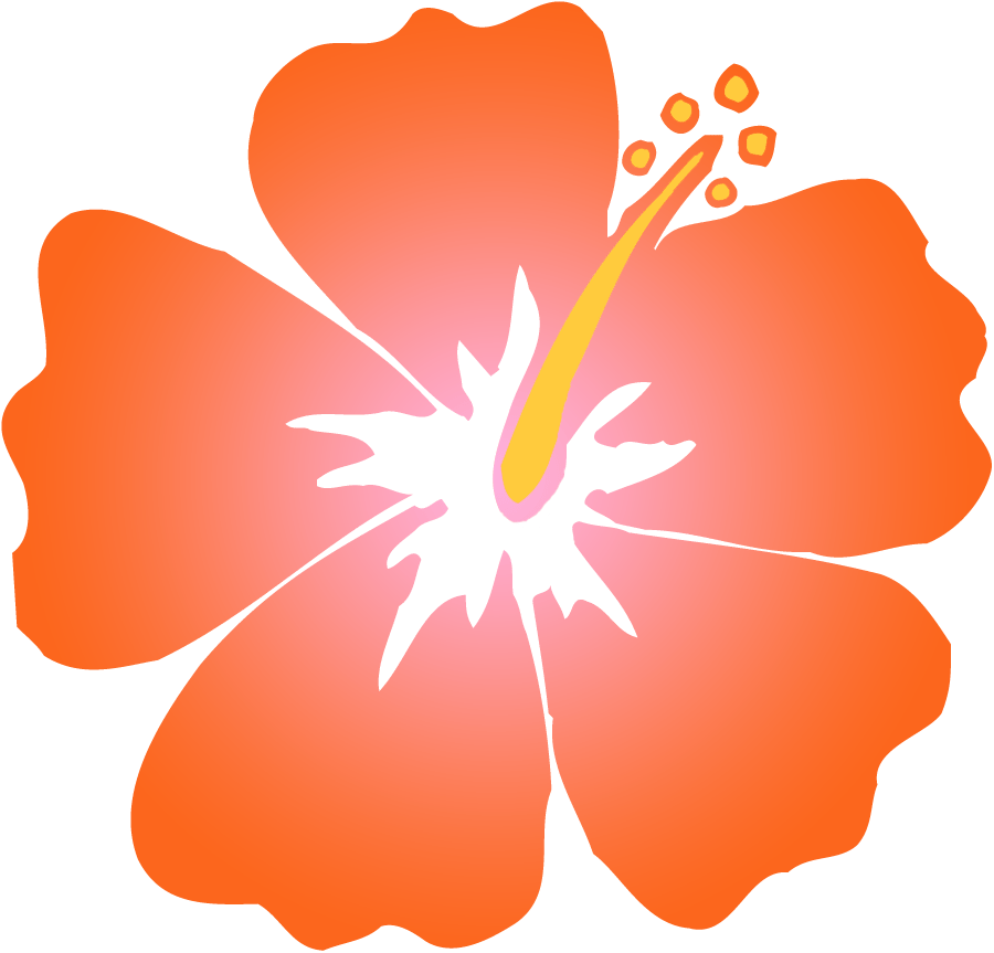 Orange Hibiscus Clip Art - Png Download (900x863), Png Download