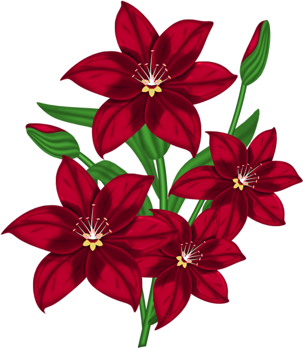Red Flower Clipart Full - Png Download (629x697), Png Download