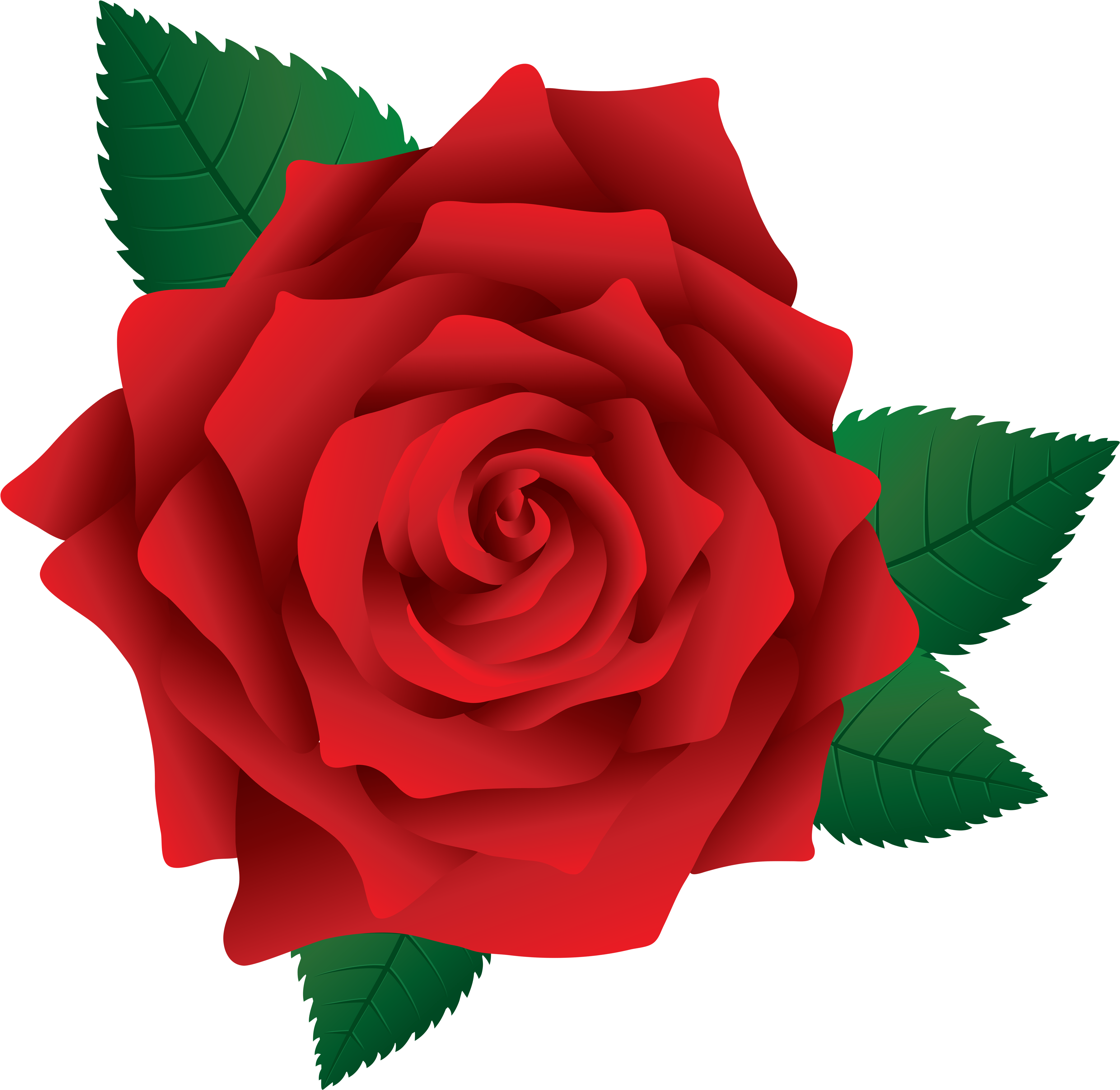 Red Rose Clipart - Rose Png Clip Art Transparent Png (5953x5854), Png Download