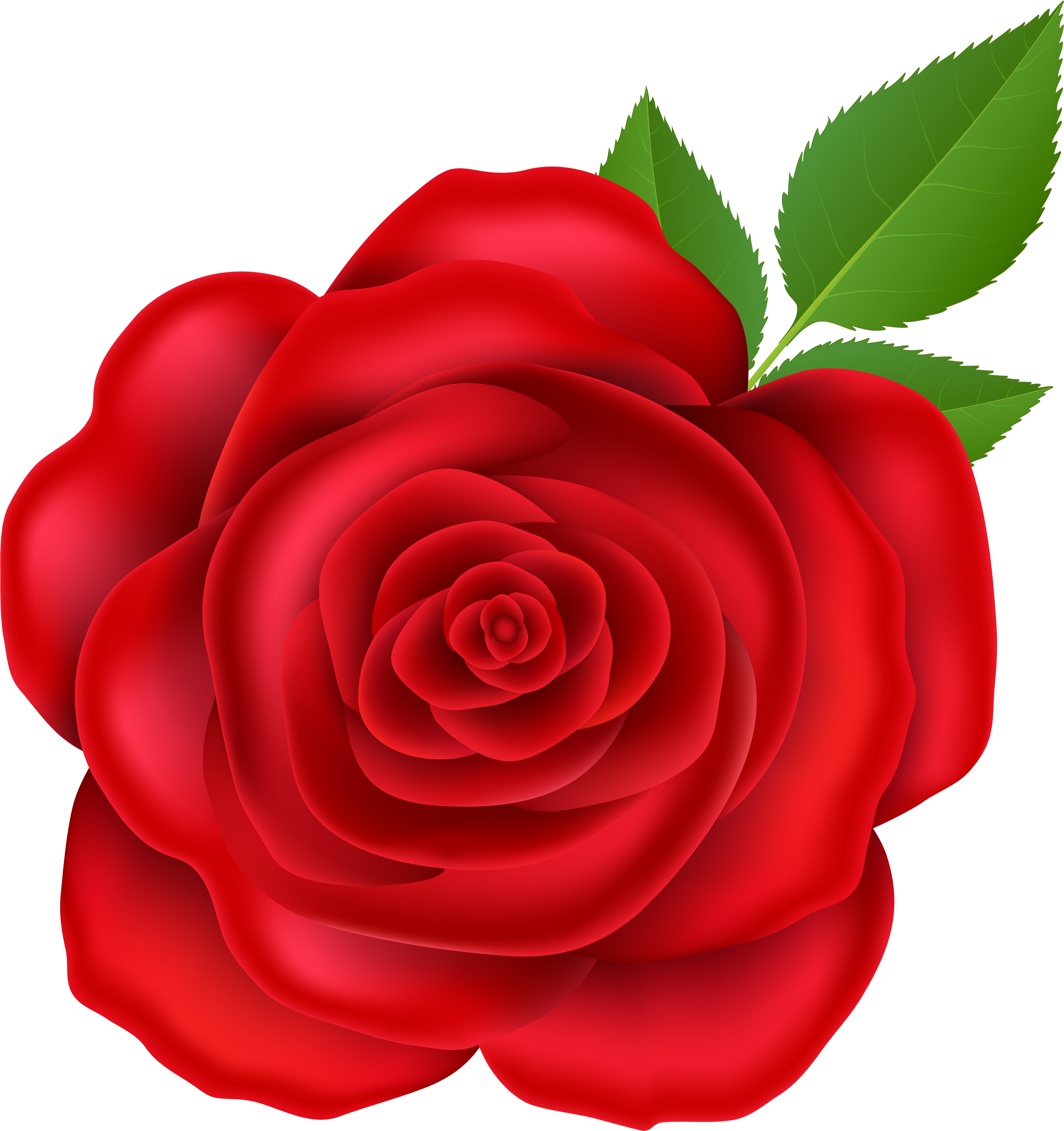 Clip Art - Png Download (5644x6000), Png Download