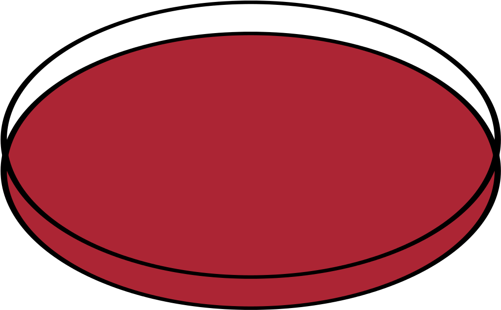 Petri Dishes Open - Clip Art - Png Download (1024x614), Png Download