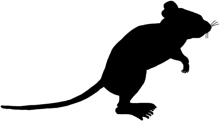 Rat Mouse Clipart Silhouette - Png Download (740x516), Png Download