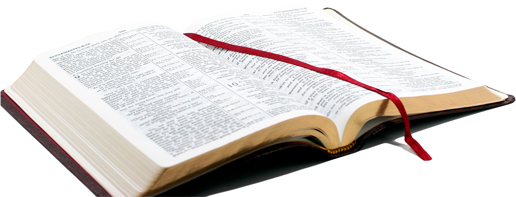 Open Bible Clip Art Png Download Transparent Png (1050x418), Png Download