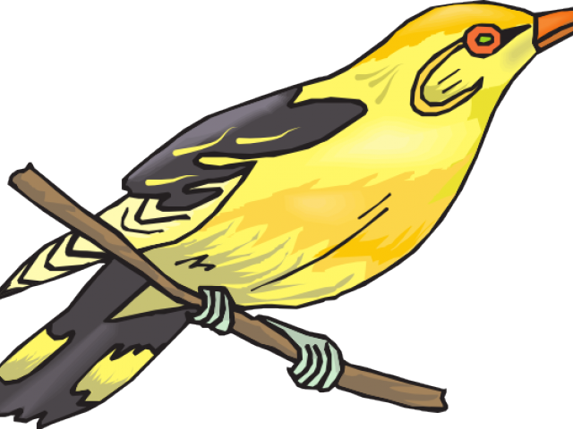 Finch Clipart Finch Bird - Clip Art - Png Download (640x480), Png Download