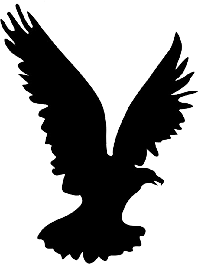 Flying Eagle Silhouette, Heron Silhouette - Flying Eagle Silhouette Png Clipart (696x886), Png Download
