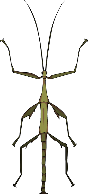 Below Is A Rendering Of The Page Up To The First Error Clipart (1098x910), Png Download