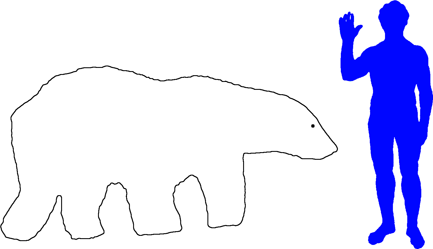 Polar Bear Big Animals Clipart (1552x936), Png Download