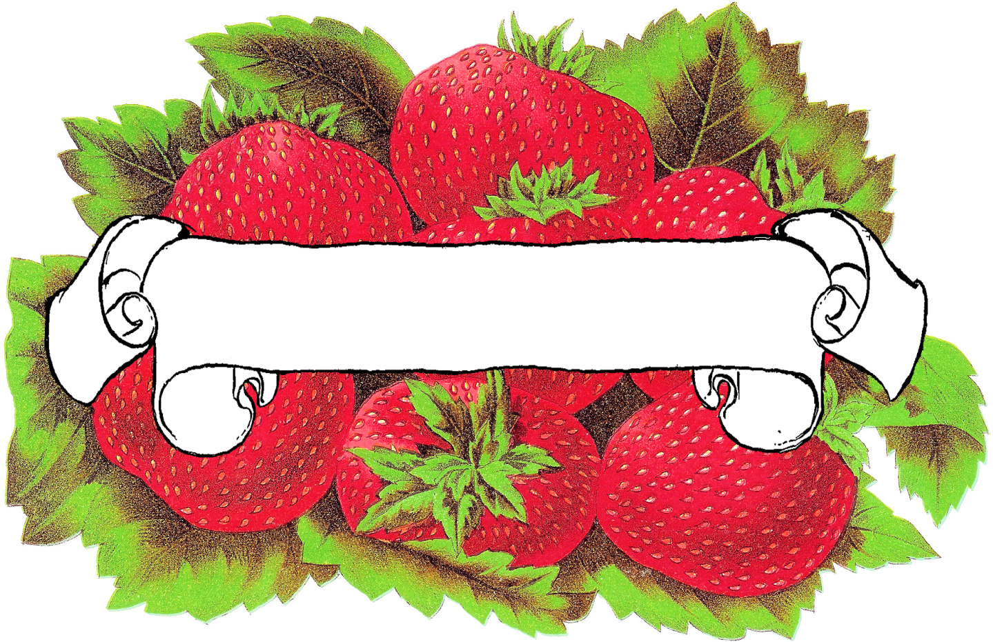 Strawberry Clipart Blank - Png Download (640x480), Png Download