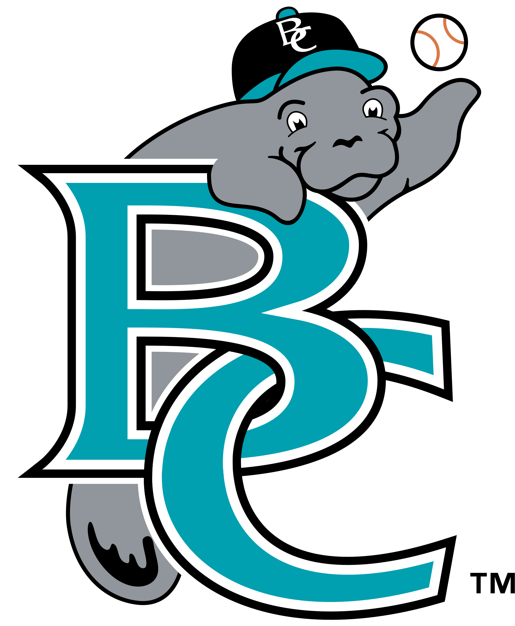 Brevard County Manatees Logo Png Transparent Vector Clipart (2400x2400), Png Download