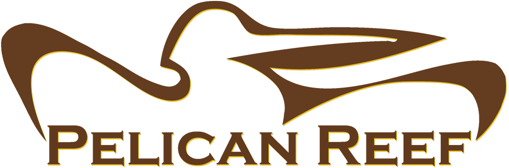 Pelican Reef Clipart (1000x330), Png Download