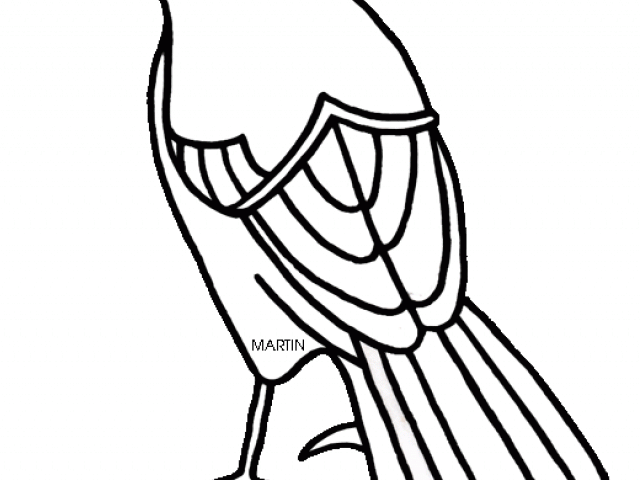 Flying Bird Clipart Mockingbird - Png Download (640x480), Png Download