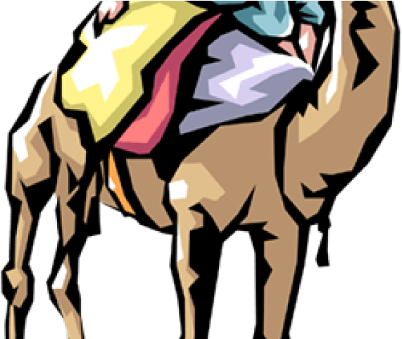 Camels Clipart Vector - Png Download (640x480), Png Download