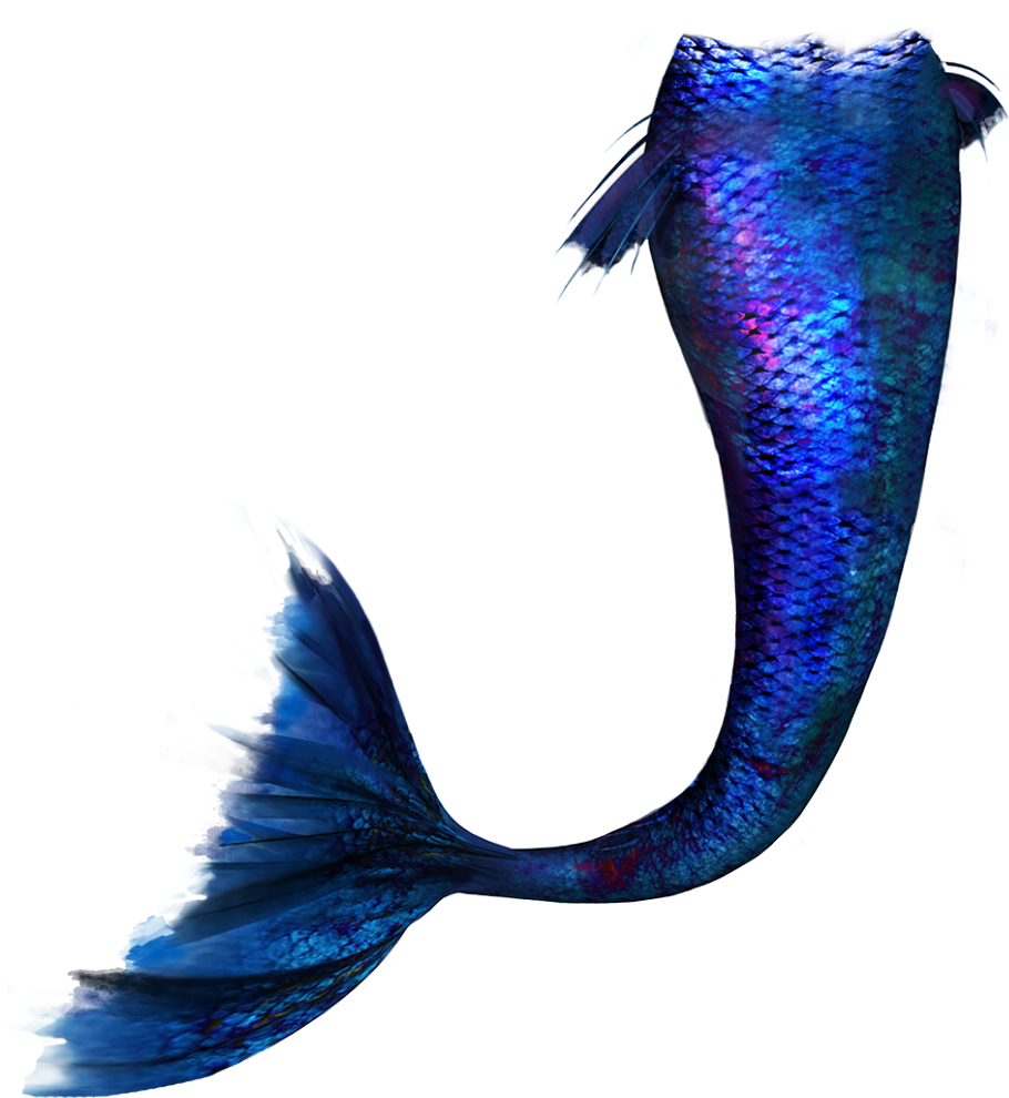 Marmand/fish Hd Clip Art - Png Download (1080x1080), Png Download