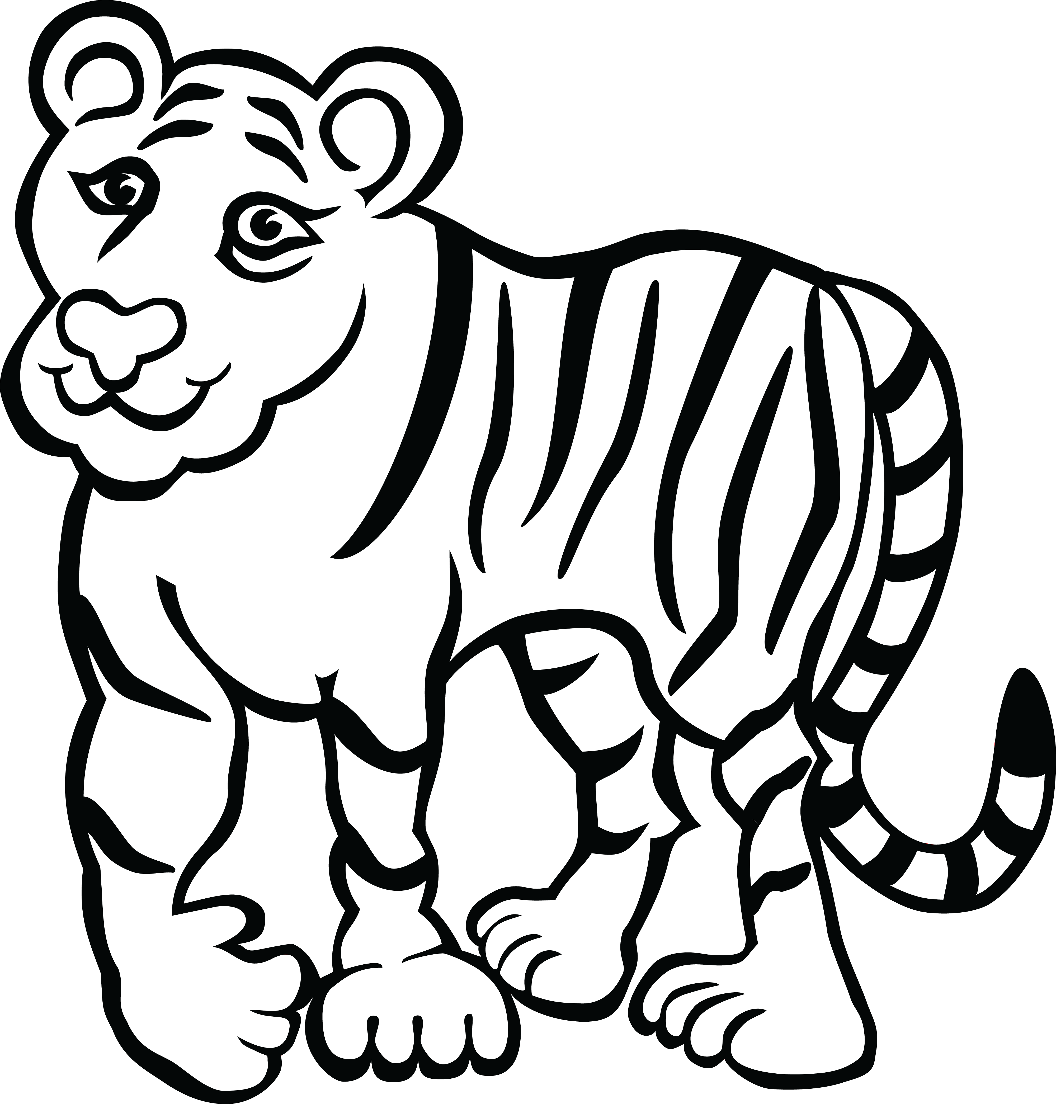 Тигр лежит на белом фоне. Белый тигр для детей. Тигренок рисунок. Домашний белый тигр. Белый тигр мультяшный.