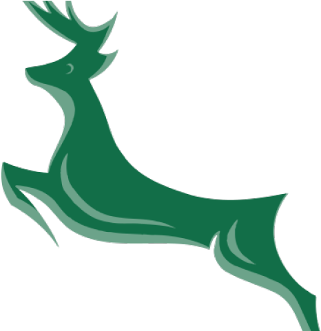 Cricket Clipart Women's Cricket - Png Download (640x480), Png Download