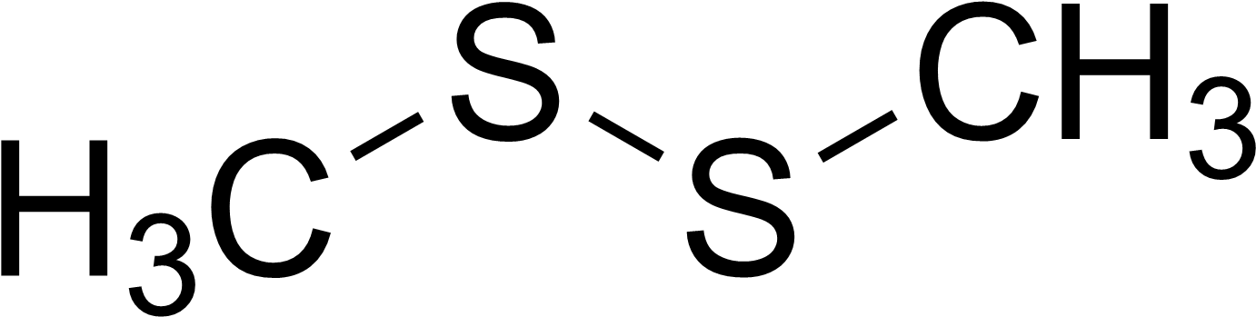 31, 28 July 2011 Clipart (1421x365), Png Download