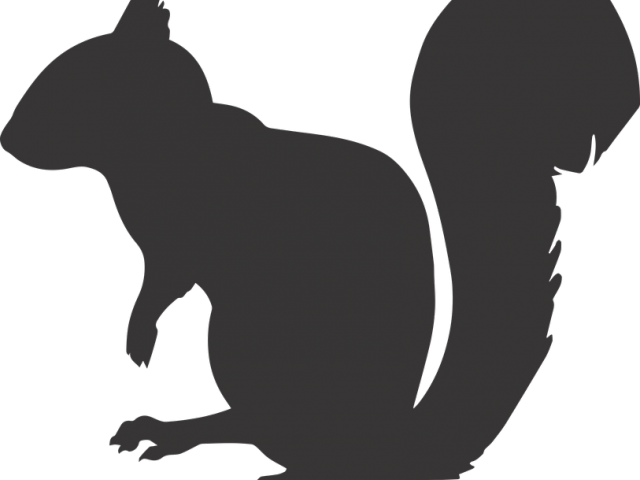 Gray Squirrel Clipart Jpeg - Png Download (640x480), Png Download