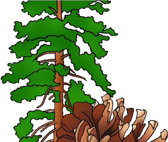 Montana Clipart Plant - Png Download (640x480), Png Download